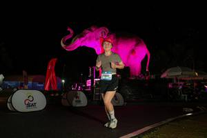 BIB: 
                            <button type="button" onclick="openModal(26543444)" class="btn btn-primary btn-sm float-right btn-popup" data-toggle="modal" data-target=".modal-high-quality">
                        <i class="fas fa-shopping-cart"></i> Add to Cart
                    </button>
                                            <button type="button" onclick="isThisMe(26543444, true)" class="btn btn-success btn-sm float-right btn-popup btn-isme hidden" data-toggle="tooltip" data-placement="bottom" title="นี่คือรูปของคุณใช่ไหม คลิกที่นี่เพื่อเอาเข้าอัลบั้ม">
                        <i class="fas fa-plus"></i> Add to album
                    </button>
                    <button type="button" onclick="isThisMe(26543444, false)" class="btn btn-warning btn-sm float-right btn-popup btn-isnotme hidden">
                        <i class="fas fa-ban"></i> Remove from album
                    </button>